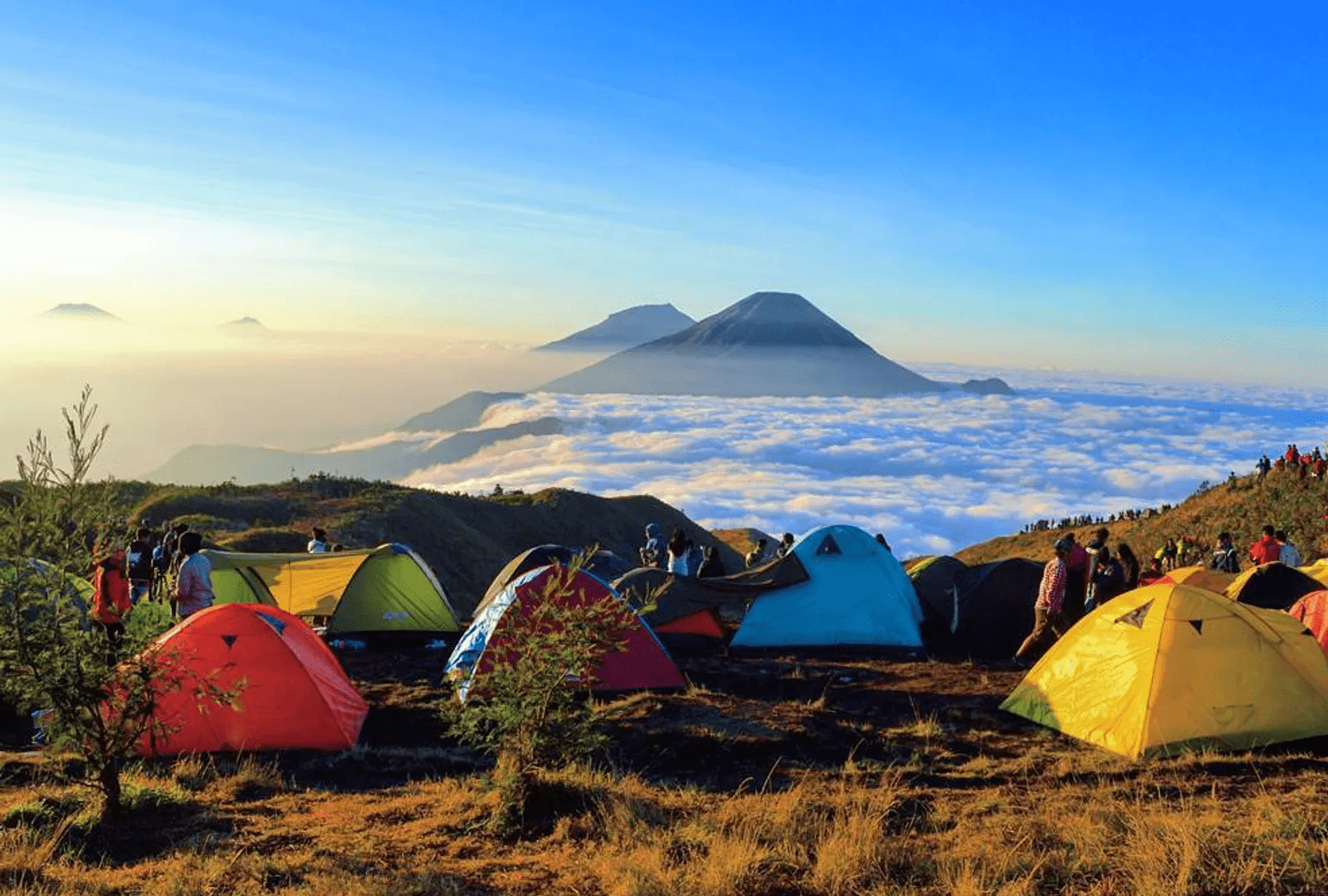 Pesona Wisata Dieng: Negeri di Atas Awan yang Wajib Kamu Kunjungi!